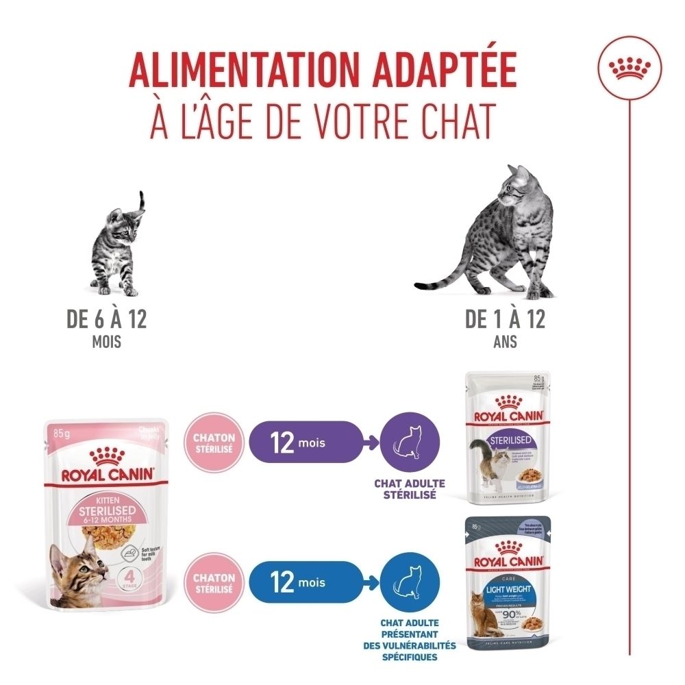 Recommandations Royal Canin pour l'alimentation des chats selon leur âge et stérilisation.