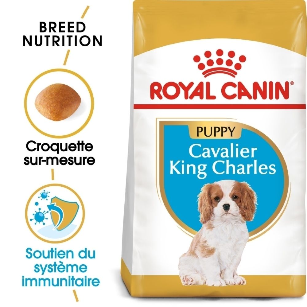 Avant du sac de nourriture Royal Canin Cavalier King Charles Puppy 1,5 kg avec image de chien et caractéristiques du produit.