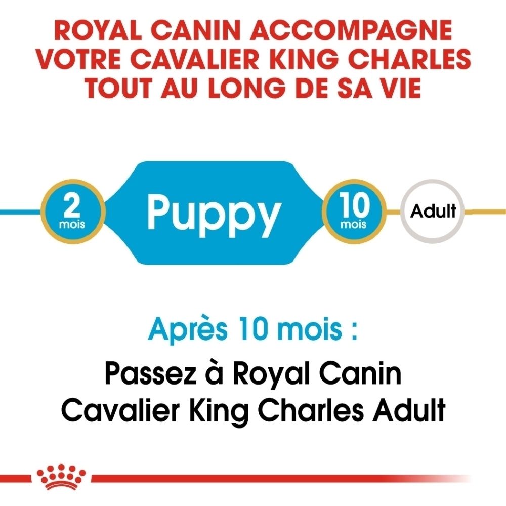 Avant du sac de nourriture Royal Canin Cavalier King Charles Puppy 1,5 kg mettant l'accent sur la forme des croquettes et le soutien immunitaire.