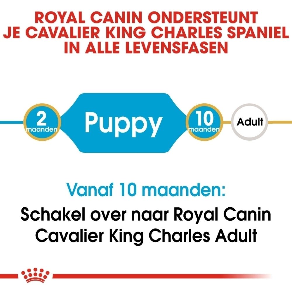 Voorkant van de Royal Canin Cavalier King Charles Puppy 1,5 kg voerzak met focus op brokvorm en immuunondersteuning.