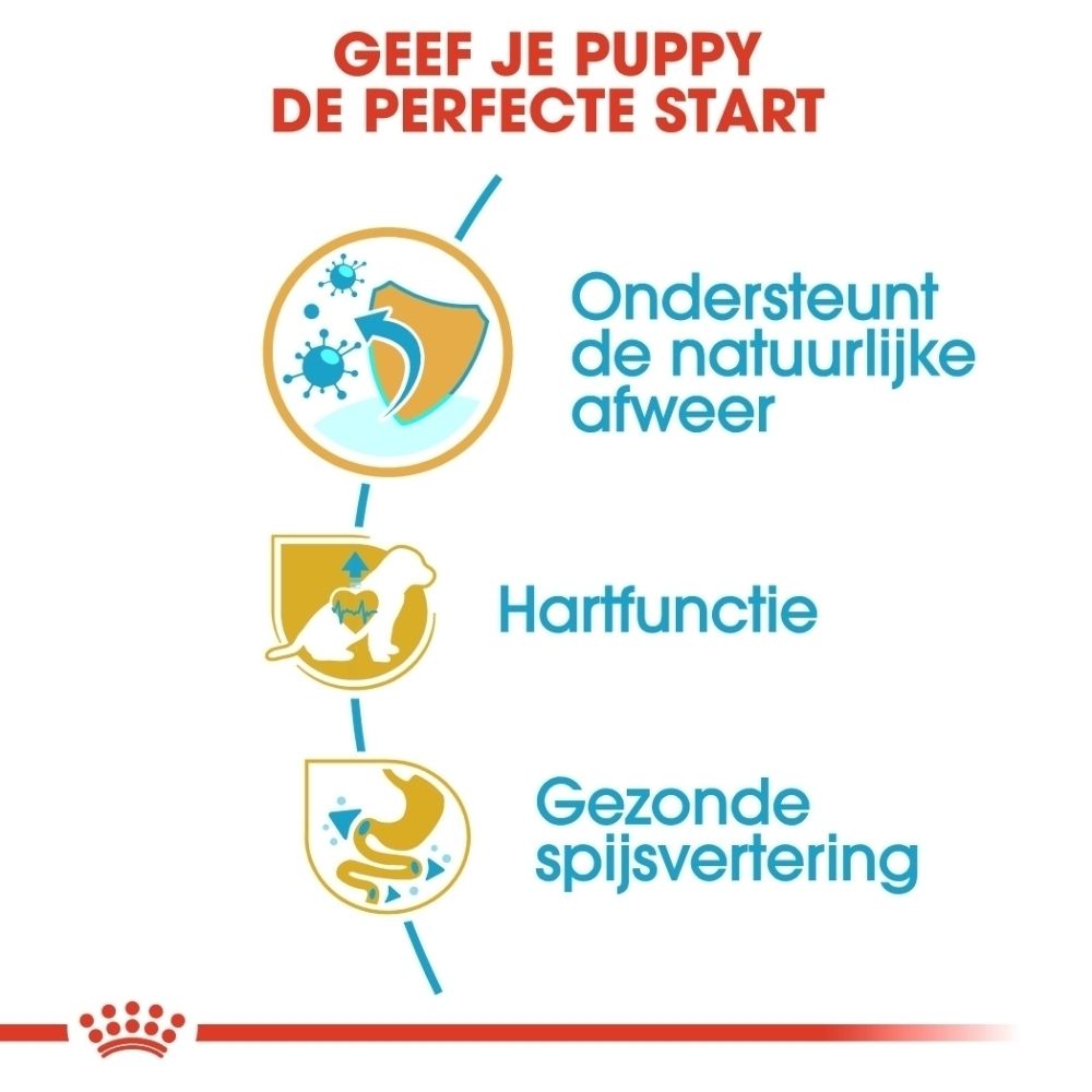 Voorkant van de Royal Canin Cavalier King Charles Puppy 1,5 kg voerzak met gedetailleerde weergave van een brokvorm.