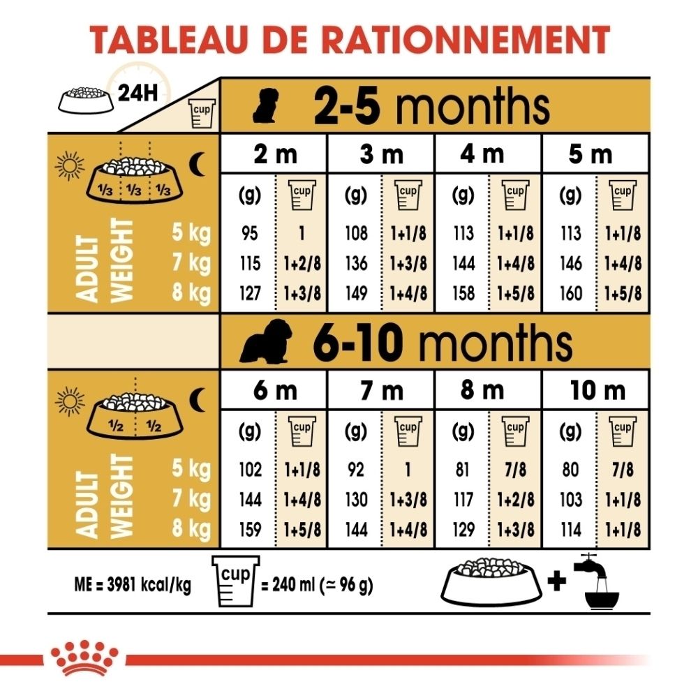 Avant du sac de nourriture Royal Canin Cavalier King Charles Puppy 1,5 kg avec illustration d'un Cavalier King Charles.