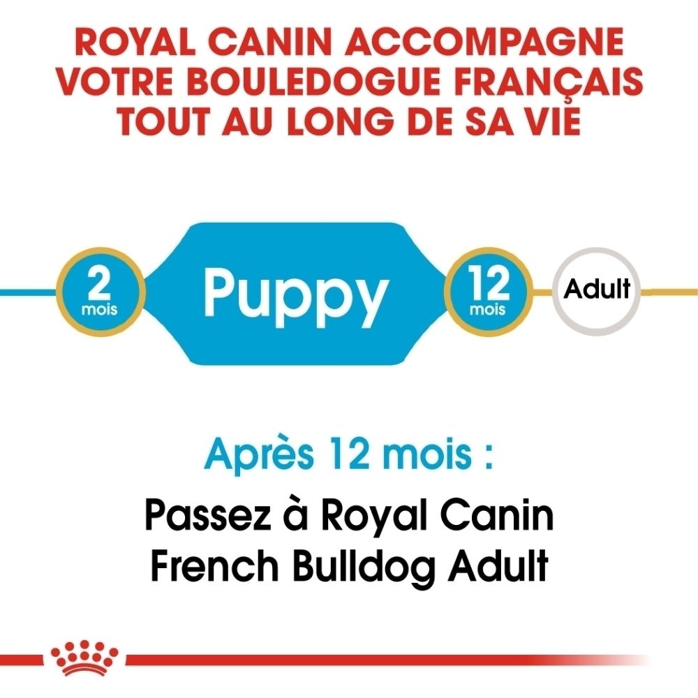 Nourriture Royal Canin French Bulldog Puppy. Montre le développement de 2 à 12 mois et la transition vers l'adulte.