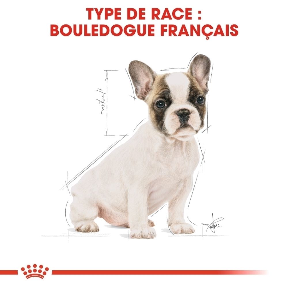 Nourriture Royal Canin French Bulldog Puppy. Montre un croquis d'un chiot bouledogue français.