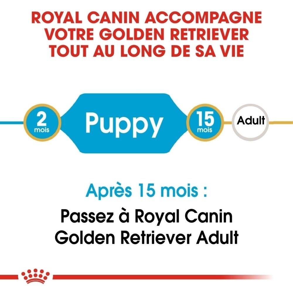 Royal Canin : nourriture pour chiots Golden Retriever de 2 à 15 mois.