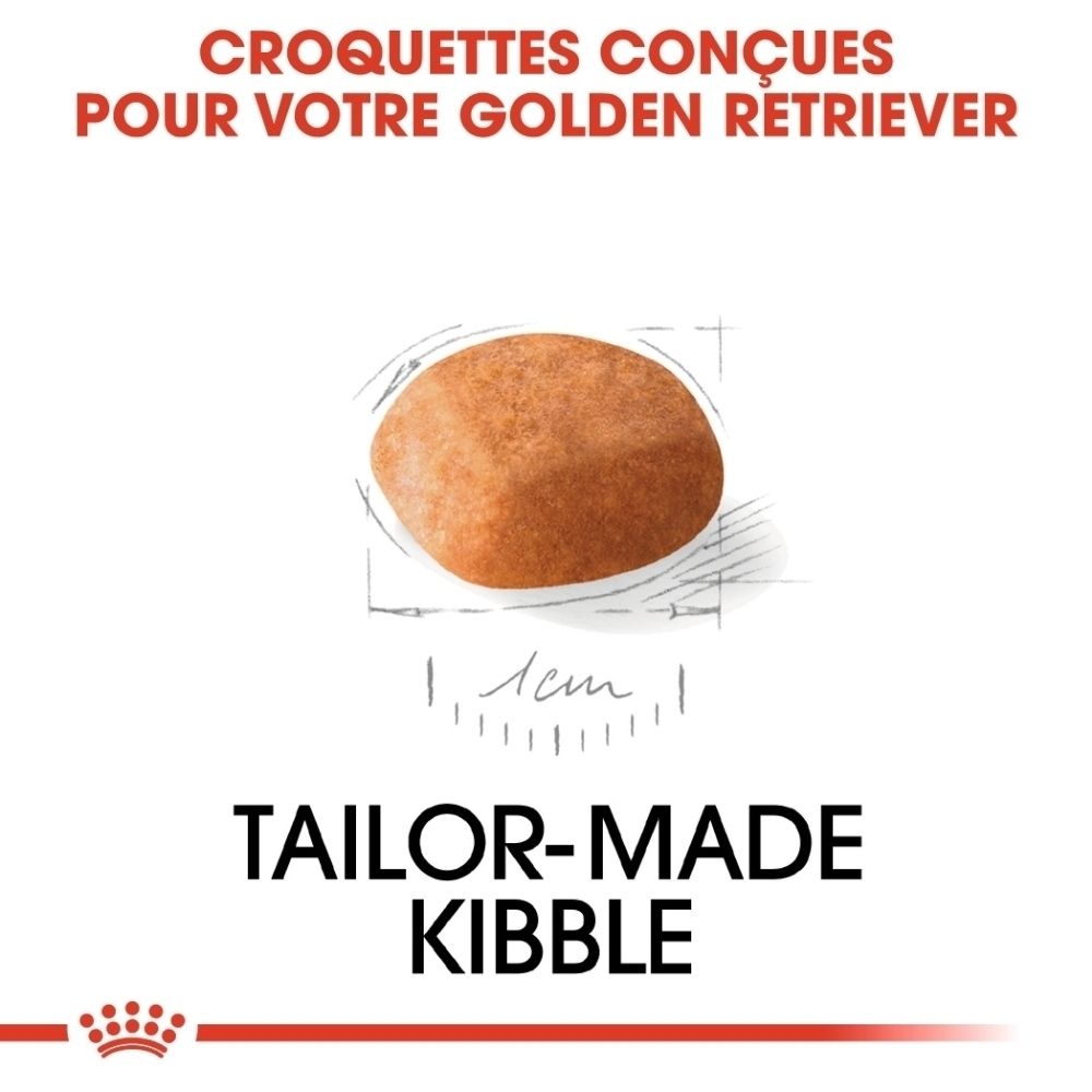 Croquettes sur mesure pour chiots Golden Retriever, environ 1 cm.