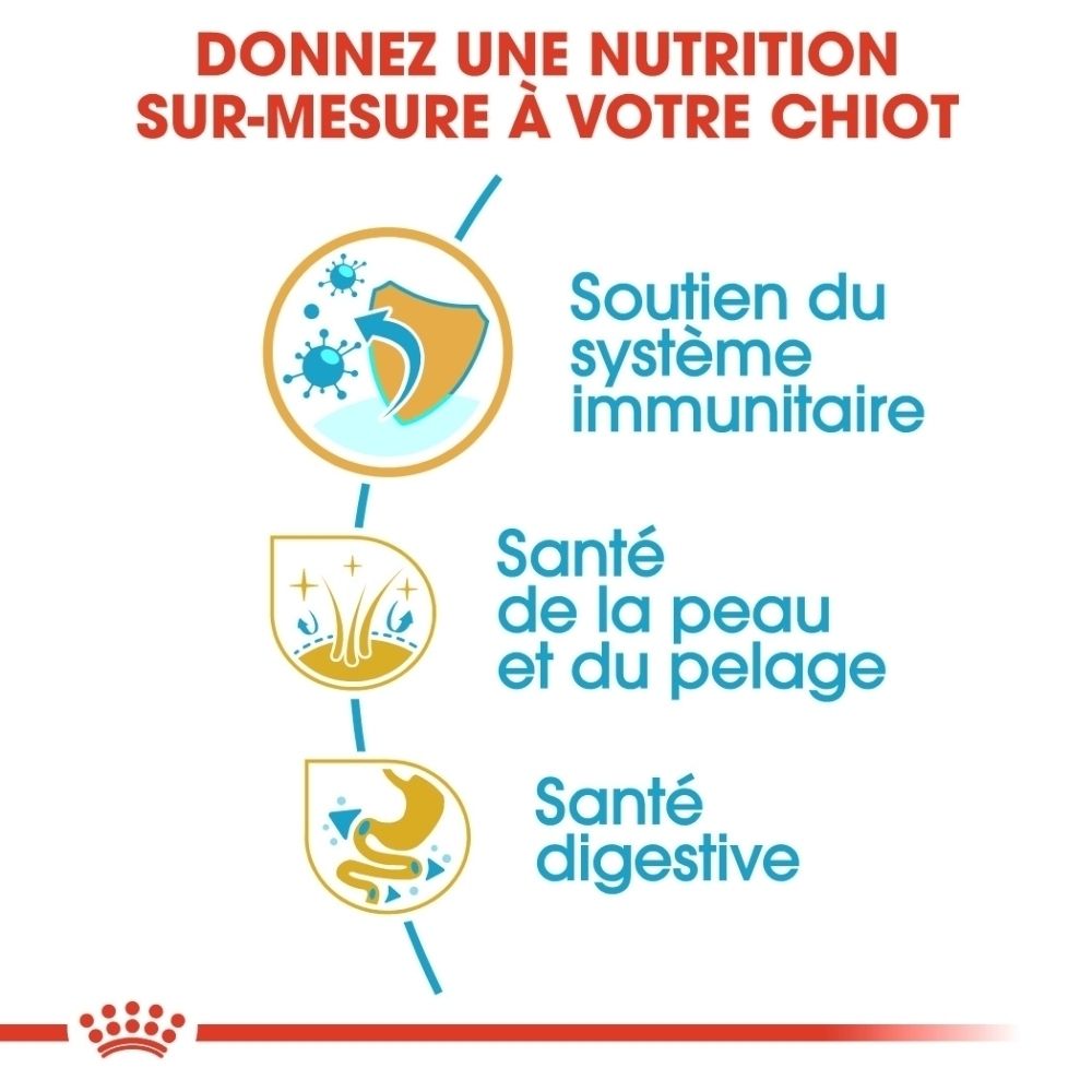 Nourriture Royal Canin Golden Retriever Puppy : soutien immunitaire, cutané et digestif.