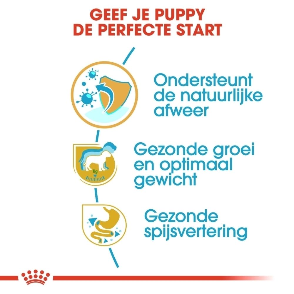 Gedetailleerd overzicht van een enkele, speciaal gevormde brokje voor Labrador puppies.