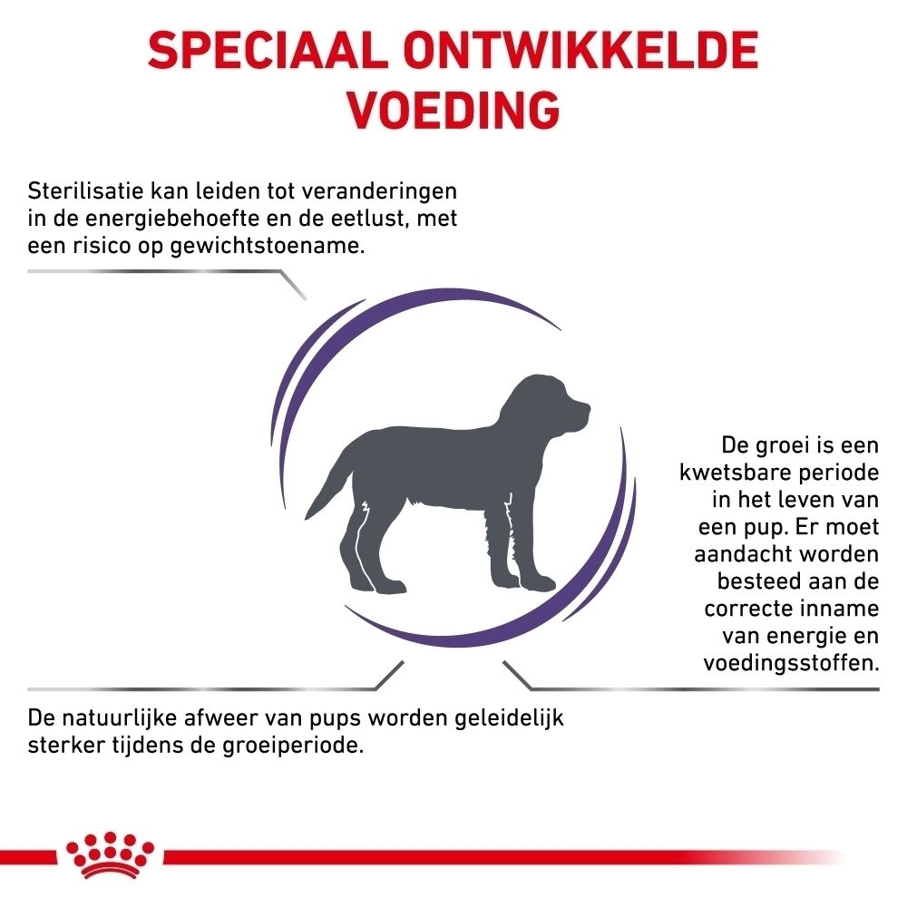 Achterkant van een zak Royal Canin hondenvoer met voedingsinformatie en voedingstabel.