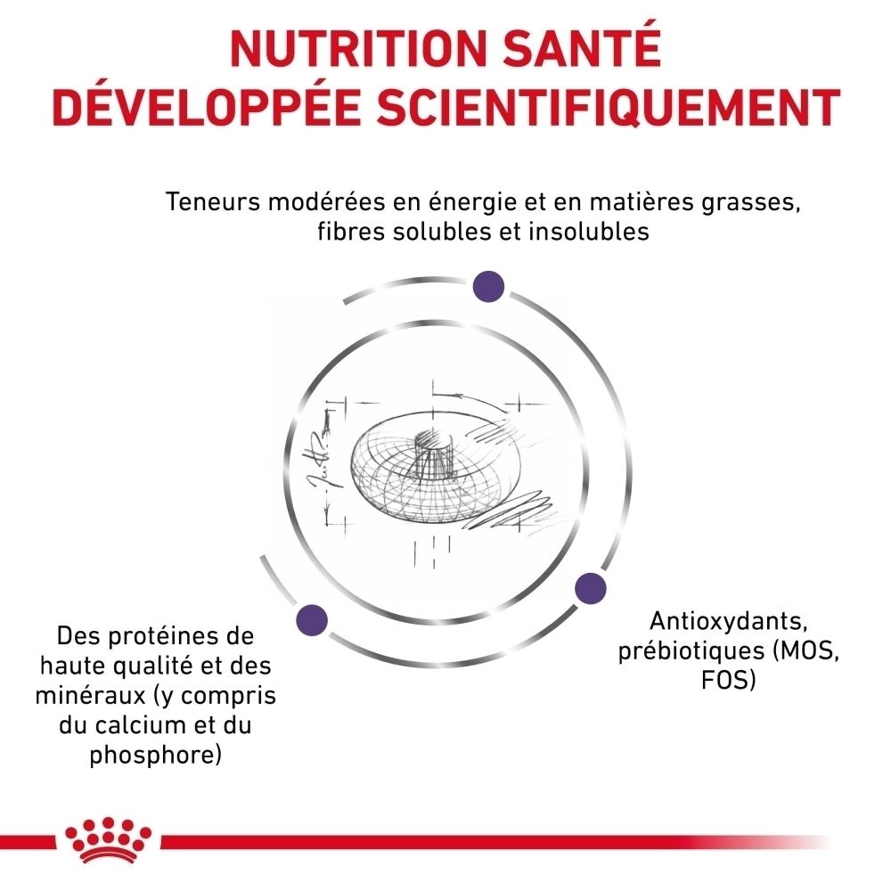 Sac de croquettes Royal Canin pour chien, 10 kg, avec l'image d'un chiot.
