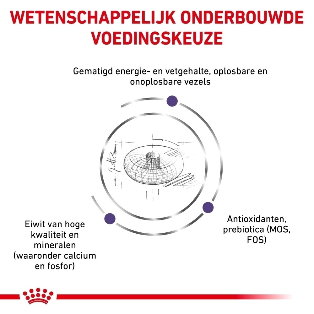 Zak Royal Canin hondenvoer, 10 kg, met afbeelding van een puppy.