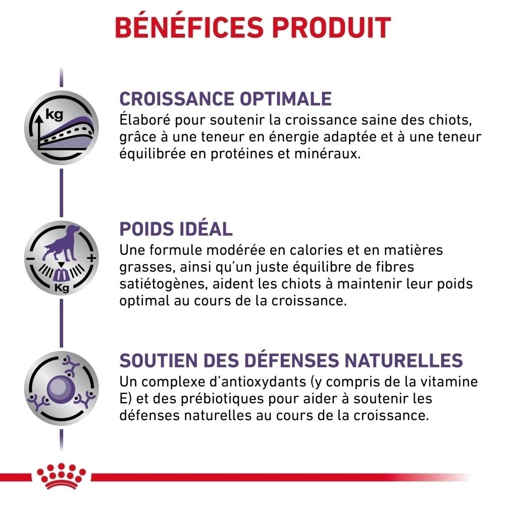 Information Royal Canin : Soutien nutritionnel spécifique pour chiots stérilisés.
