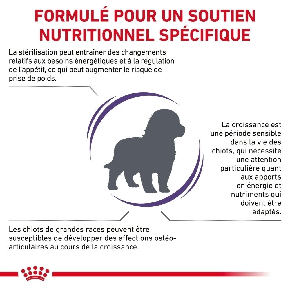Informations sur Royal Canin Expert Neutered Junior L en français.