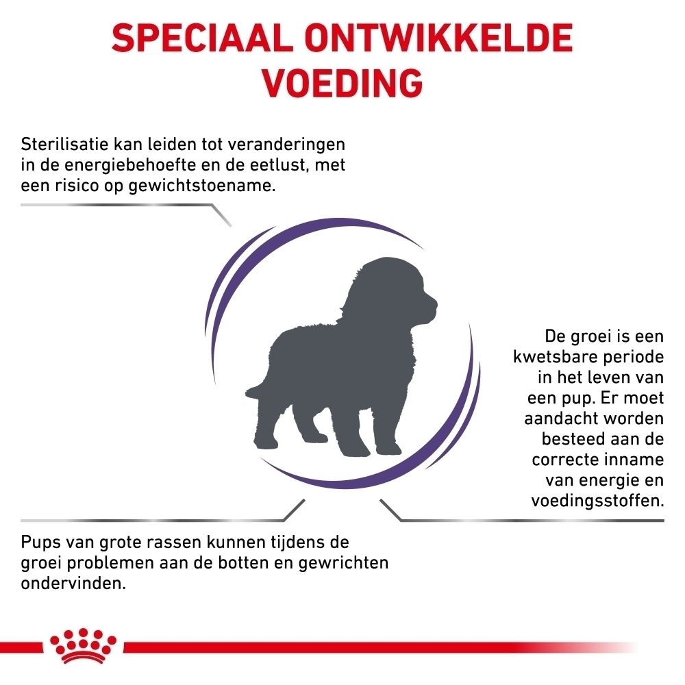 Informatie over Royal Canin Expert Neutered Junior L in het Nederlands.