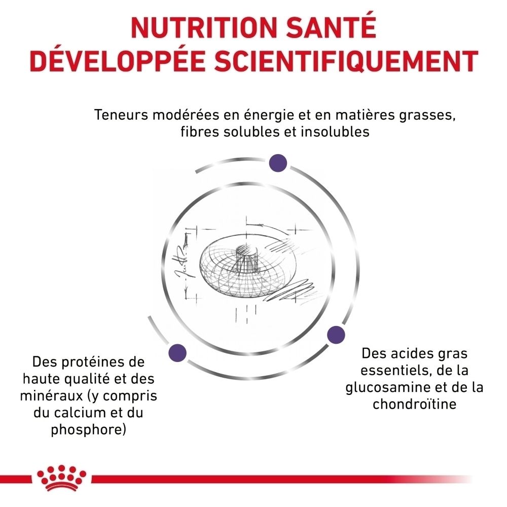 Informations sur Royal Canin Expert Neutered Junior L en français.