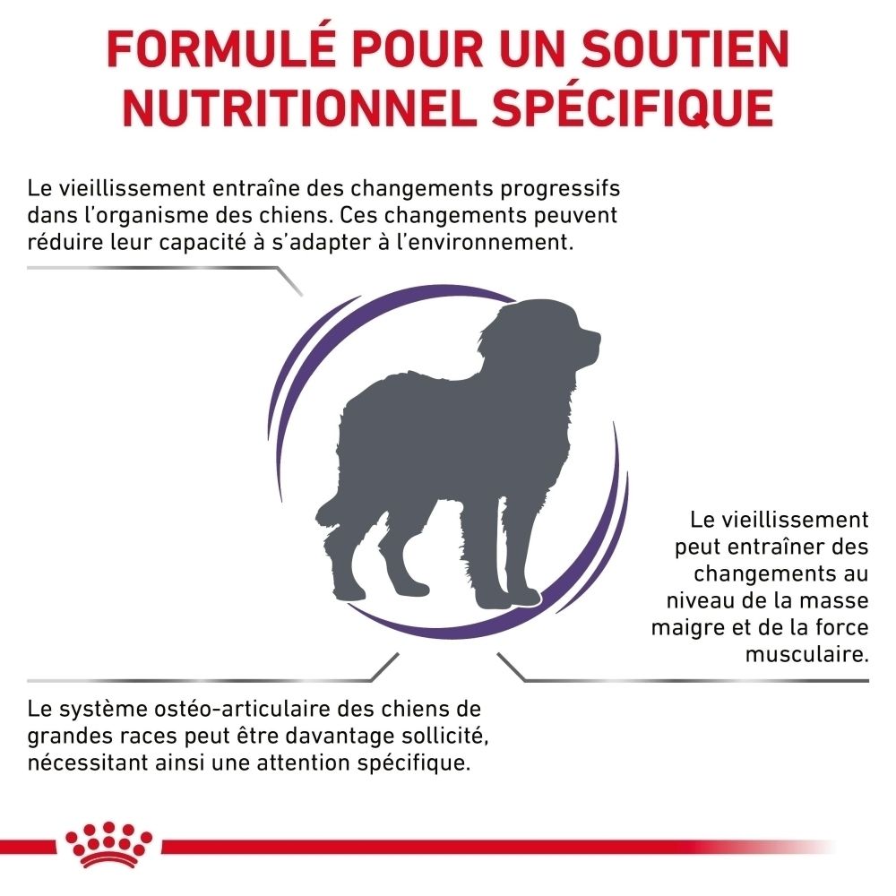 Royal Canin Expert Mature Consult L : Formulé pour un soutien nutritionnel spécifique.