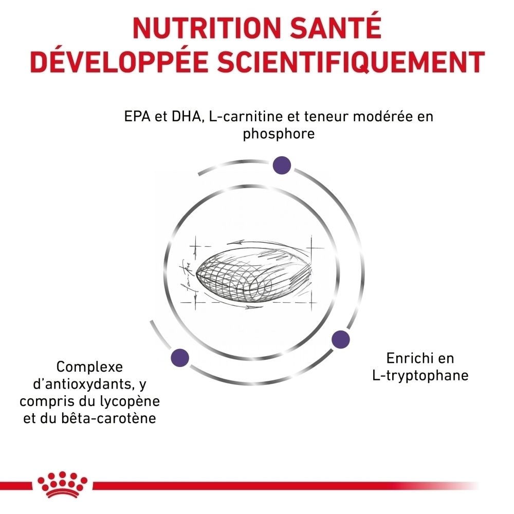 Royal Canin Expert Mature Consult L : Nutrition santé développée scientifiquement.