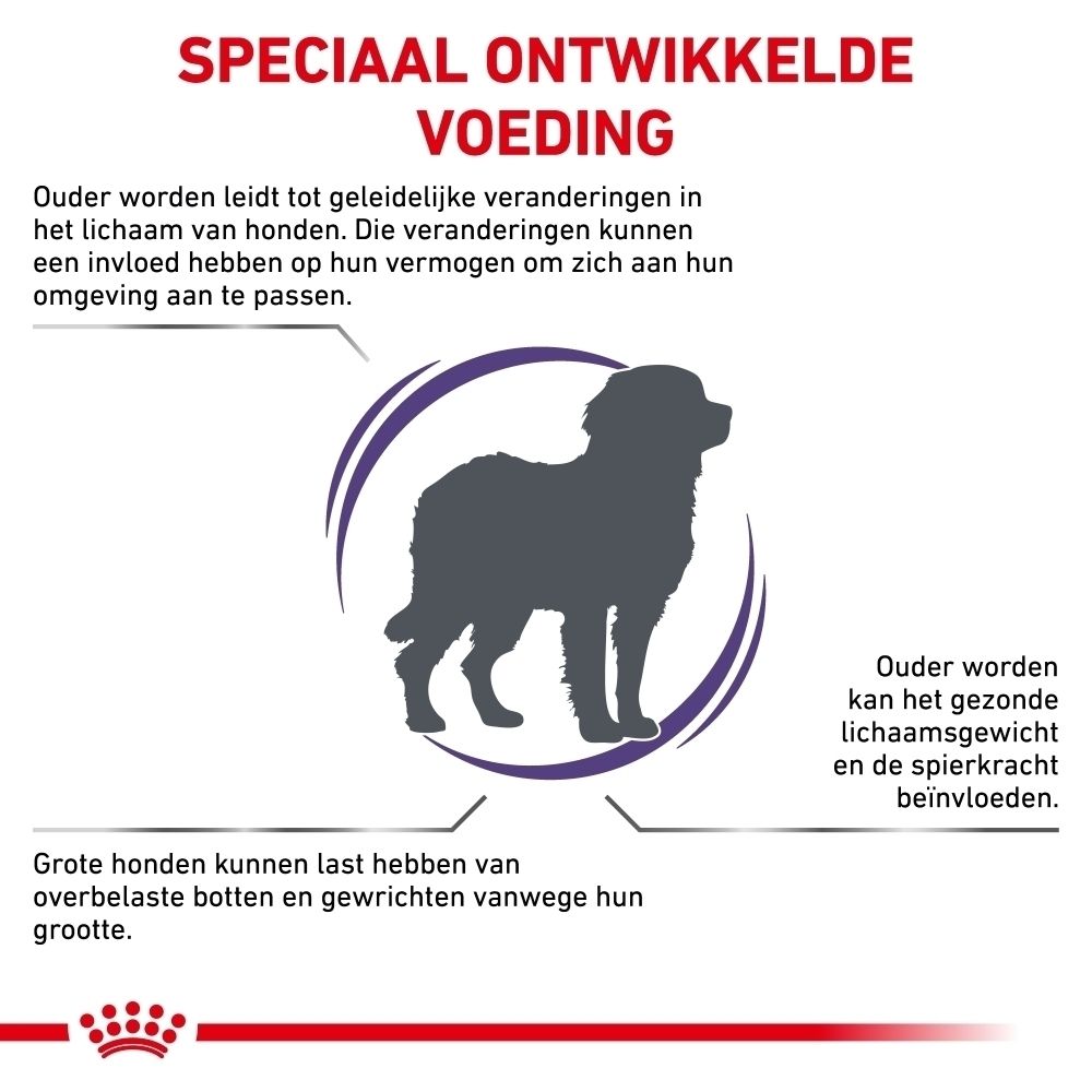 Royal Canin Expert Mature Consult L: Wetenschappelijk onderbouwde voedingskeuze.