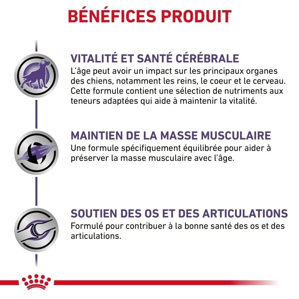 Royal Canin Expert Mature Consult L : Bénéfices produit pour la vitalité et la santé articulaire.
