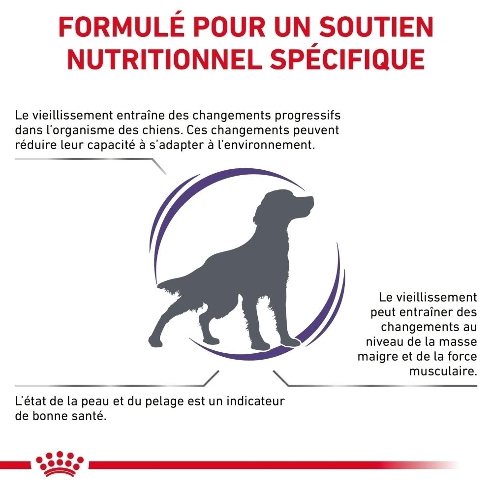 Royal Canin VET-D Mature Consult Medium Dog : Soutien nutritionnel spécifique pour chiens seniors.