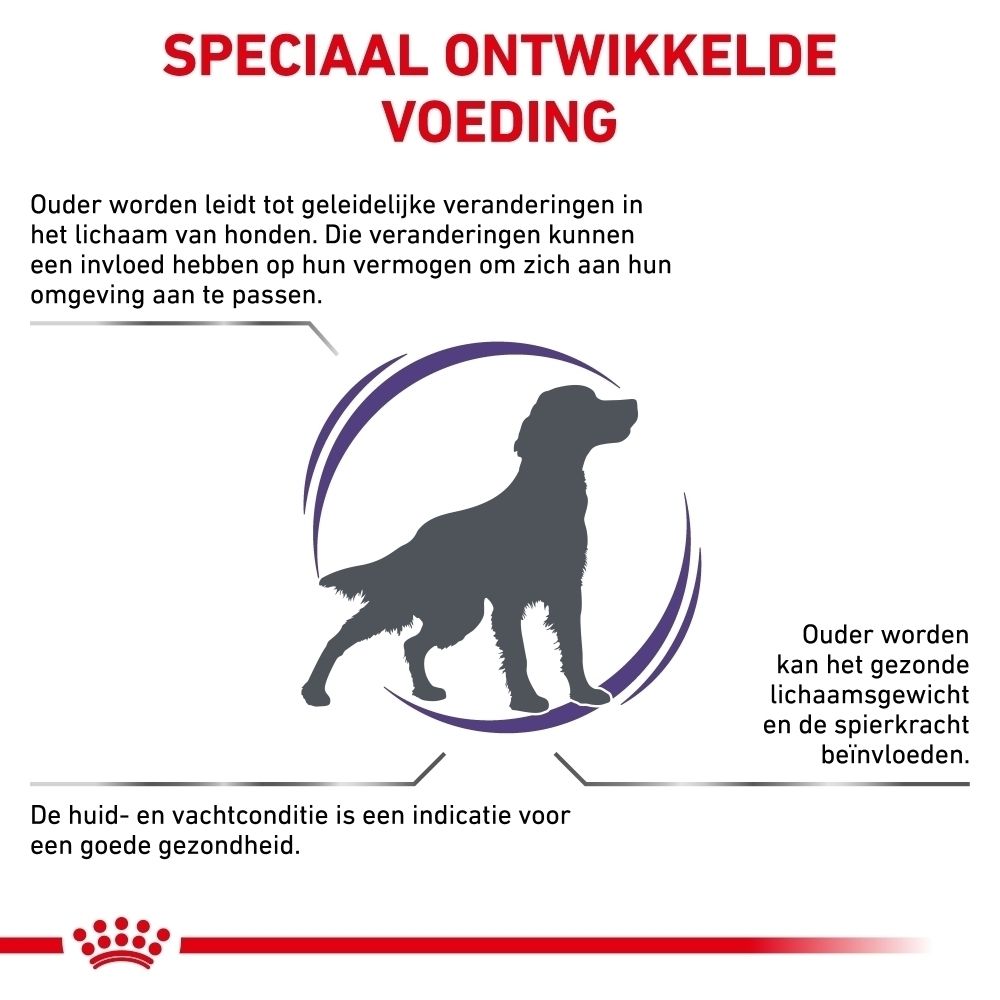 Royal Canin VET-D Mature Consult Medium Dog: Wetenschappelijk ontwikkelde voeding met EPA, DHA, L-Carnitine.