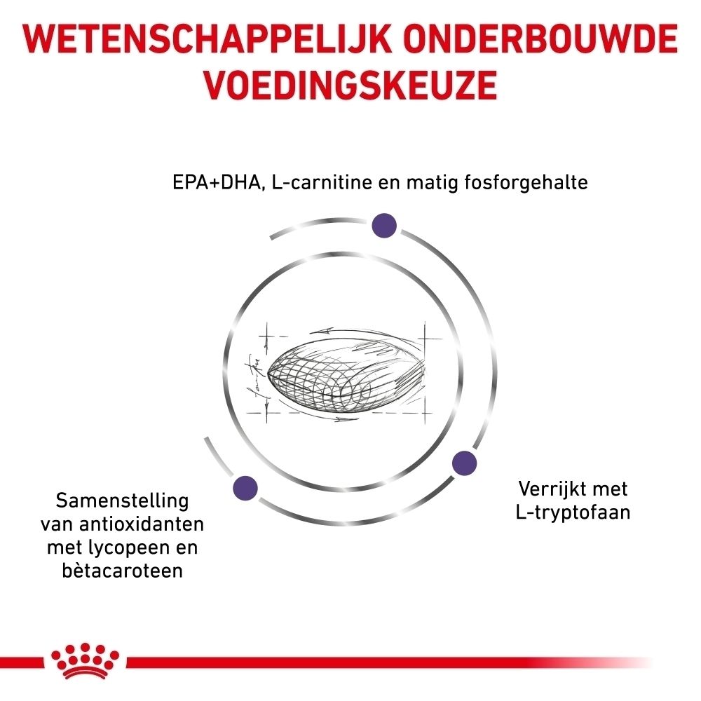 Royal Canin VET-D Mature Consult Medium Dog: Productvoordelen voor vitaliteit, hersenen, spiermassa en vacht.