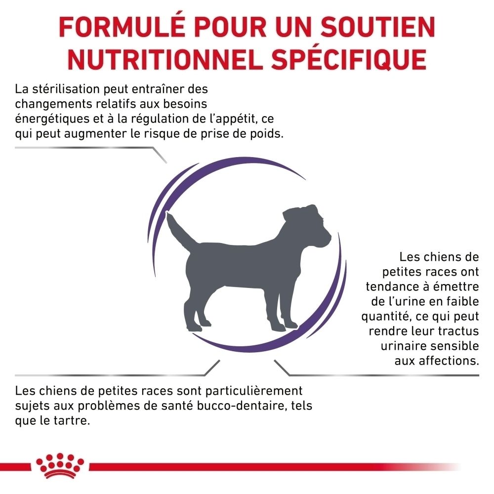 Silhouette d'un chien avec texte sur le soutien nutritionnel spécifique pour les petites races.