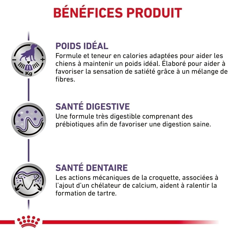 Infographie sur les bénéfices produit : Poids idéal, santé digestive, santé dentaire.