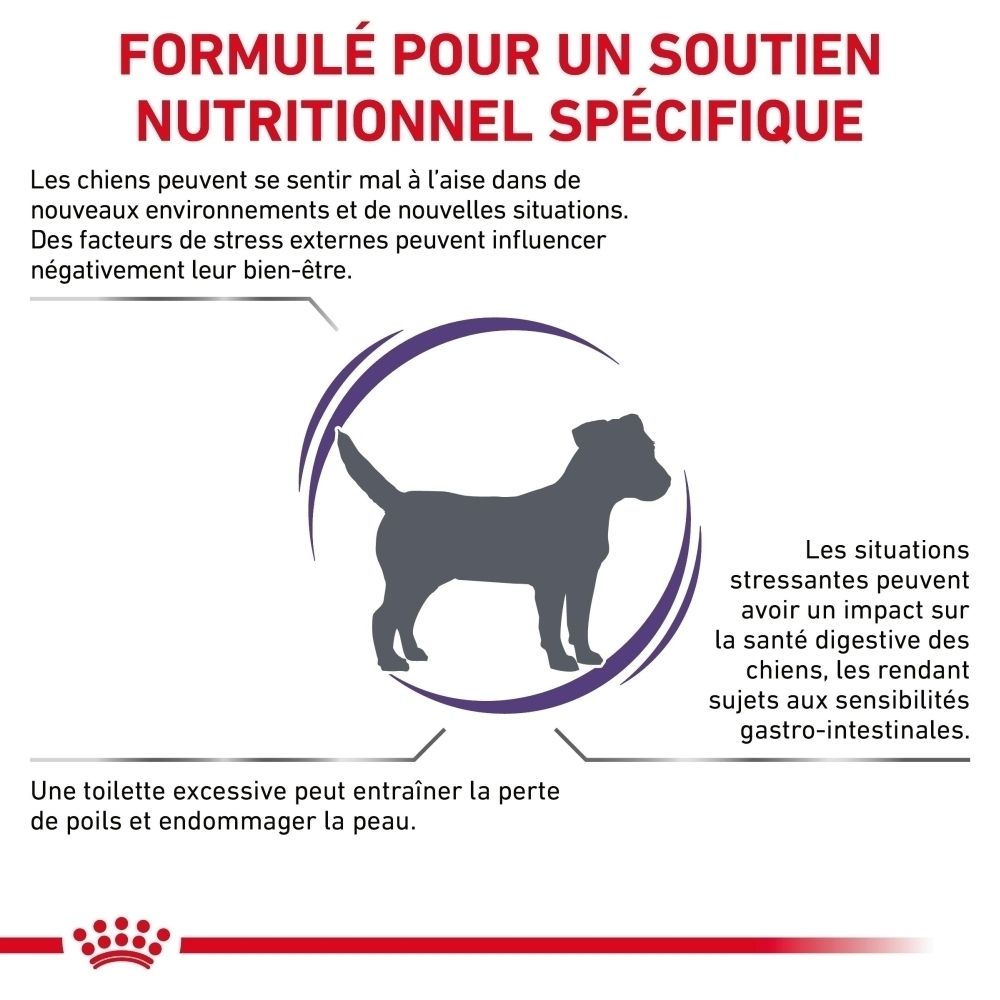 Graphique sur la réduction du stress chez le chien, avec texte sur le soutien nutritionnel spécifique.