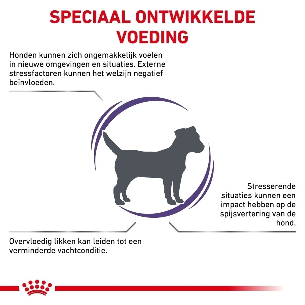 Grafiek over stressvermindering bij honden, met tekst over specifieke voedingsondersteuning.
