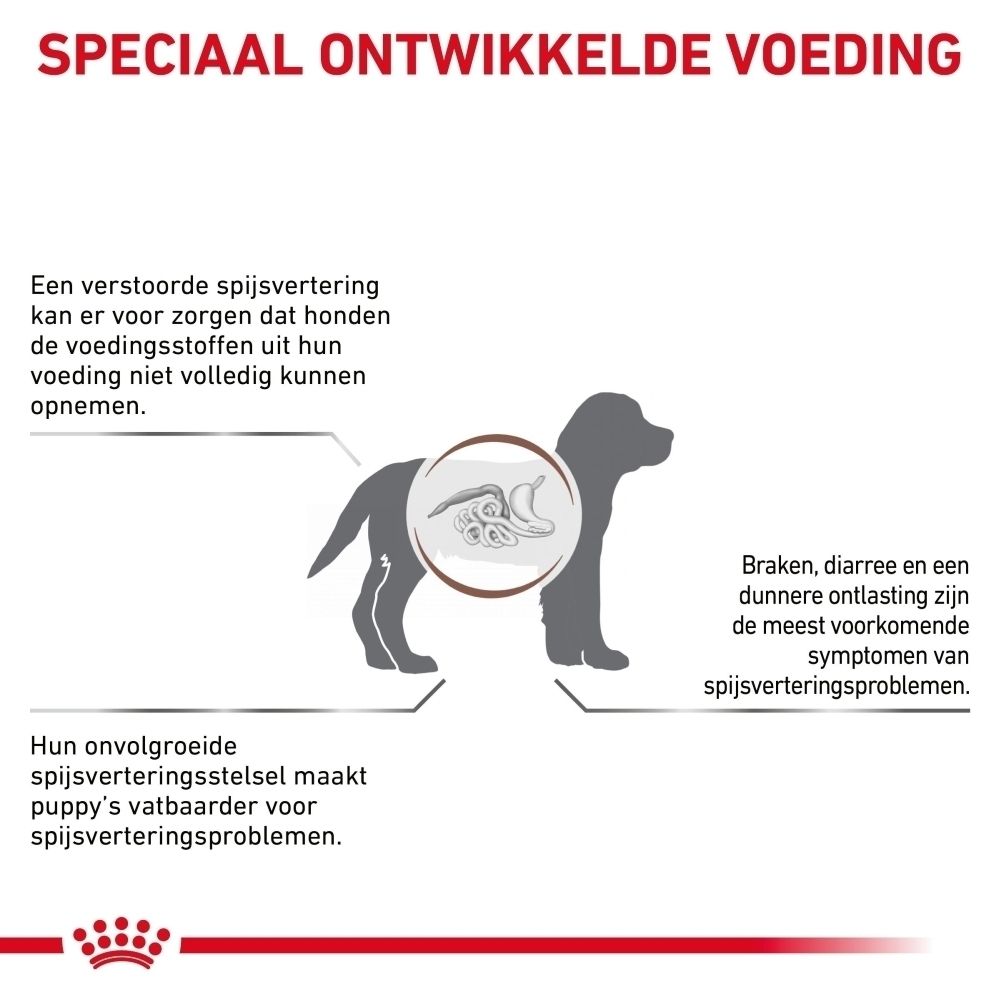 Illustratie van een hond met een uitgelicht spijsverteringskanaal, dat spijsverteringsproblemen weergeeft.
