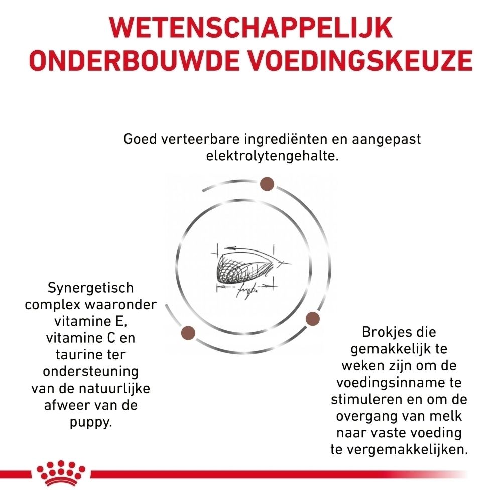 Grafiek met hondenbrokken en tekst over voedingsstoffen en spijsvertering.
