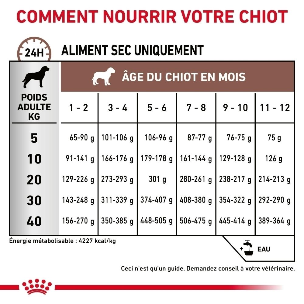 Tableau de nutrition pour chiots par âge et poids, avec quantités de nourriture sèche.