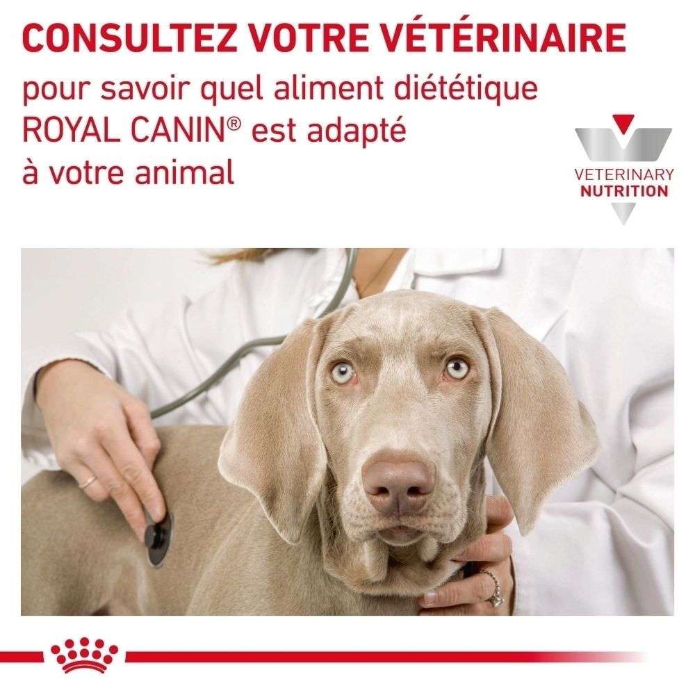 Une boîte de nourriture vétérinaire ROYAL CANIN® Recovery.