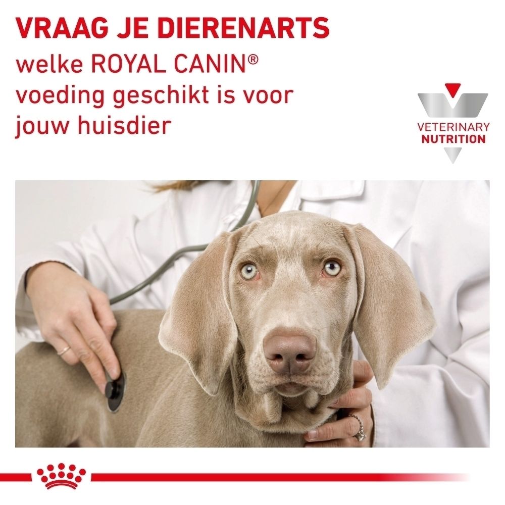 Eén blik ROYAL CANIN® Veterinary Recovery dierenvoeding.