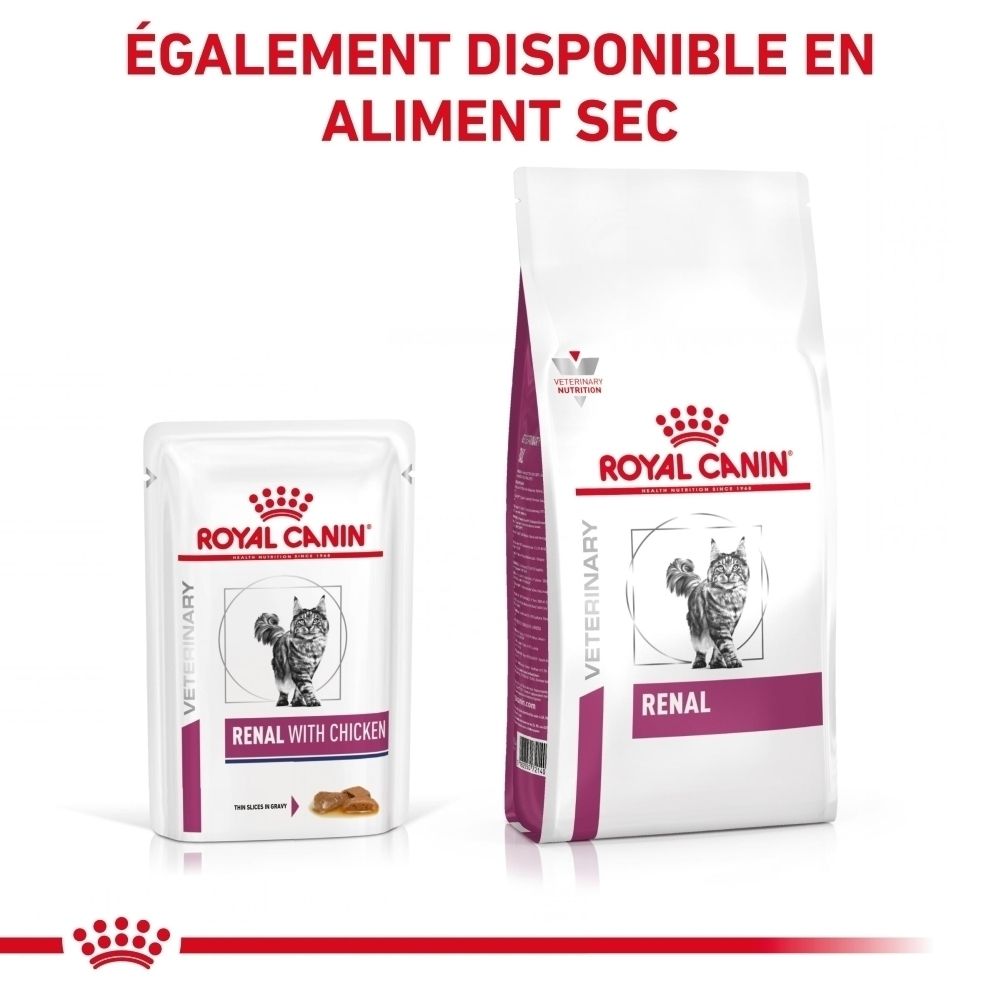 ROYAL CANIN Veterinary Renal Chicken Sachet individuel avec contenu en sauce.