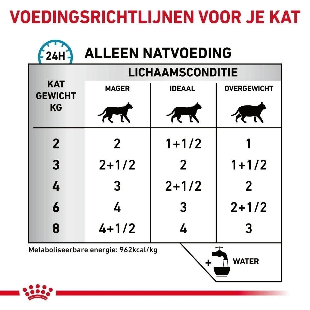 Voedingstabel voor katten: lichaamsgewicht, conditie (mager, ideaal, overgewicht) en hoeveelheid voer in grammen. Bevat metaboliseerbare energie.