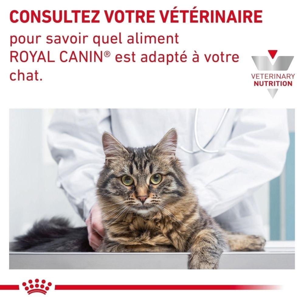Conseil vétérinaire Royal Canin Veterinary Sensitivity Control avec chat et vétérinaire.