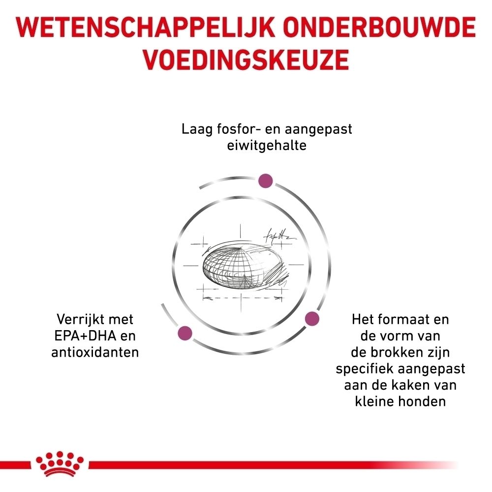 Schema van de nierfunctie bij honden.