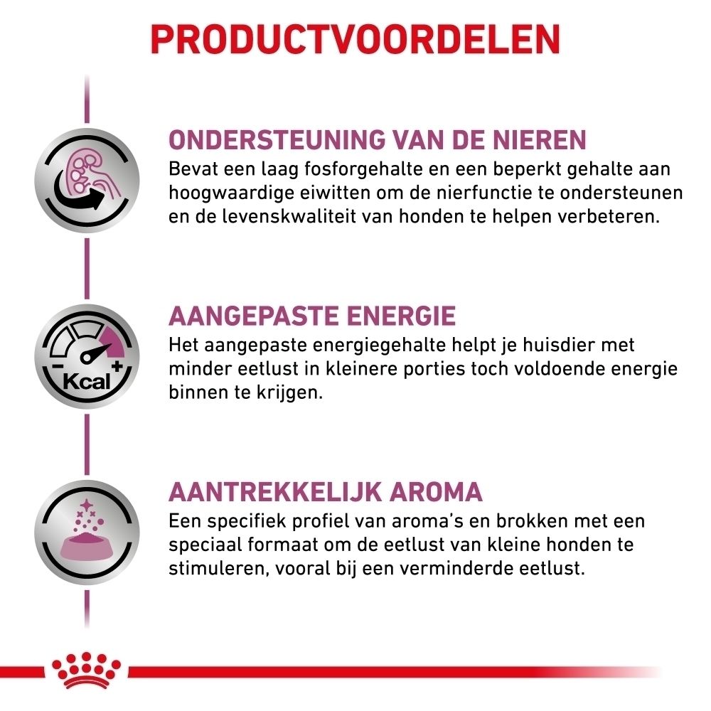 Wetenschappelijke onderbouwing van de voederkeuze voor kleine honden.