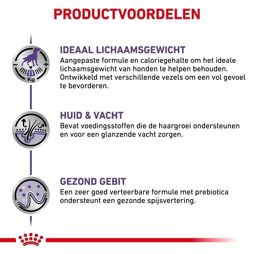 Overzicht van de productvoordelen van Royal Canin hondenvoer voor huid, vacht en spijsvertering.