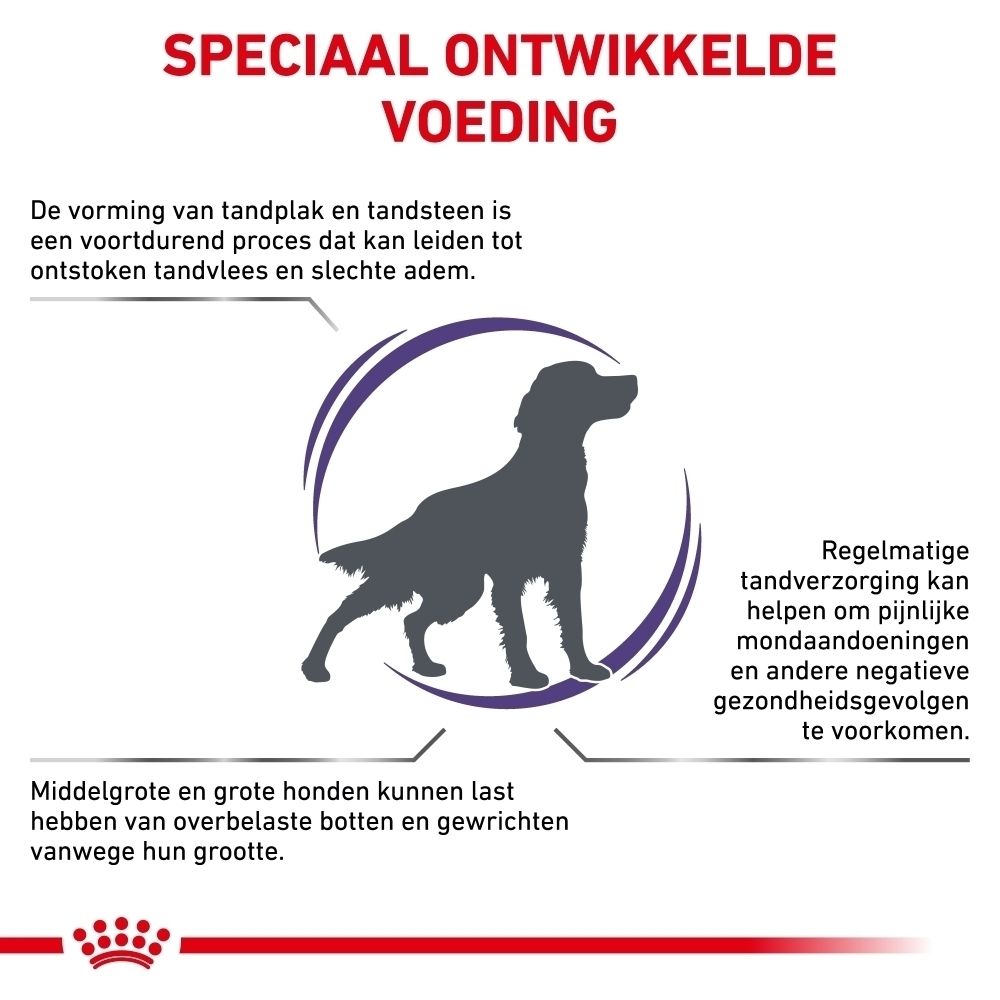 Royal Canin Expert Dental: Speciaal ontwikkelde voeding.