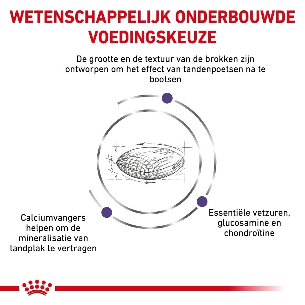 Royal Canin Expert Dental: Wetenschappelijk onderbouwde voedingskeuze.
