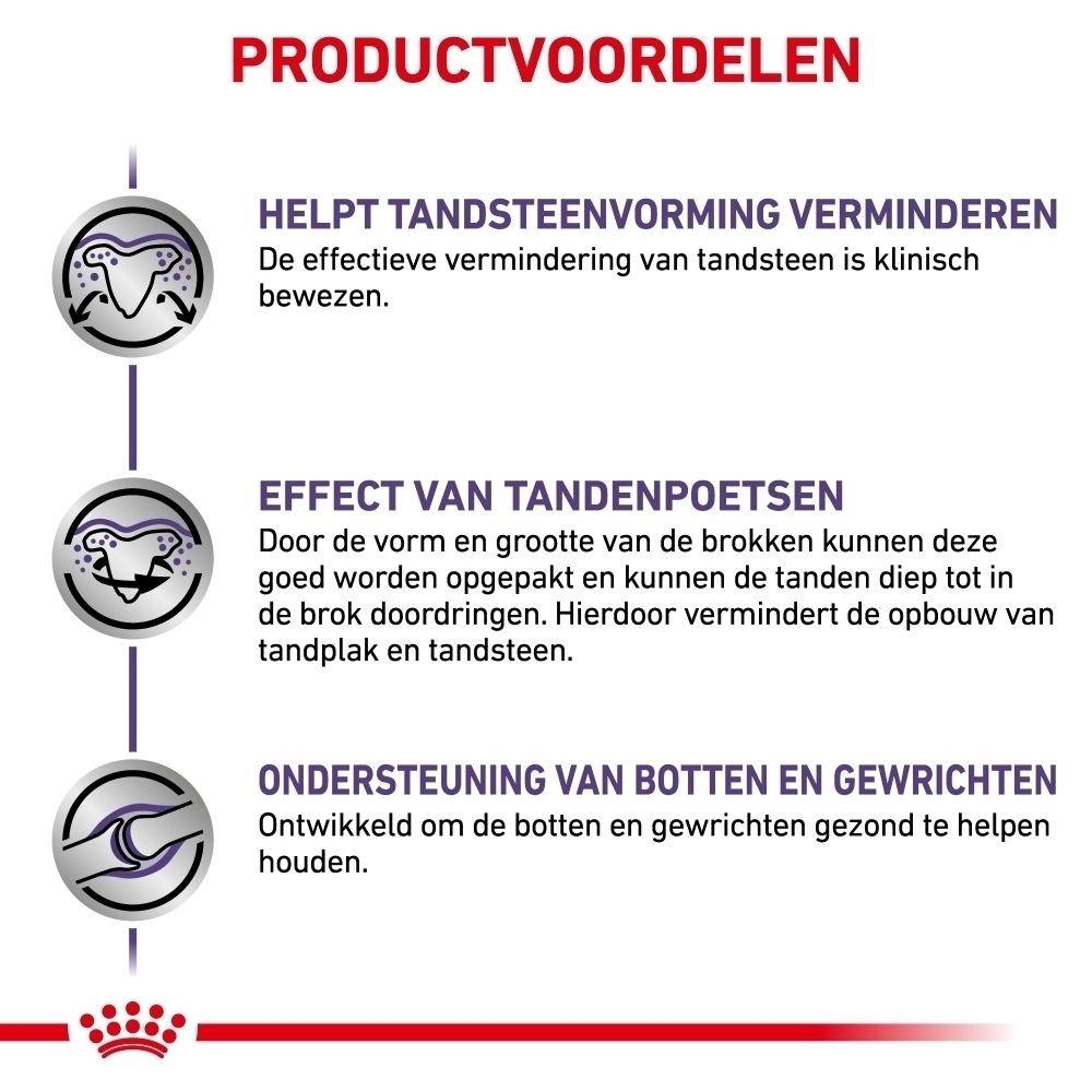 Royal Canin Expert Dental: Productvoordelen, tandsteenvorming verminderen en bot- en gewrichtsondersteuning.