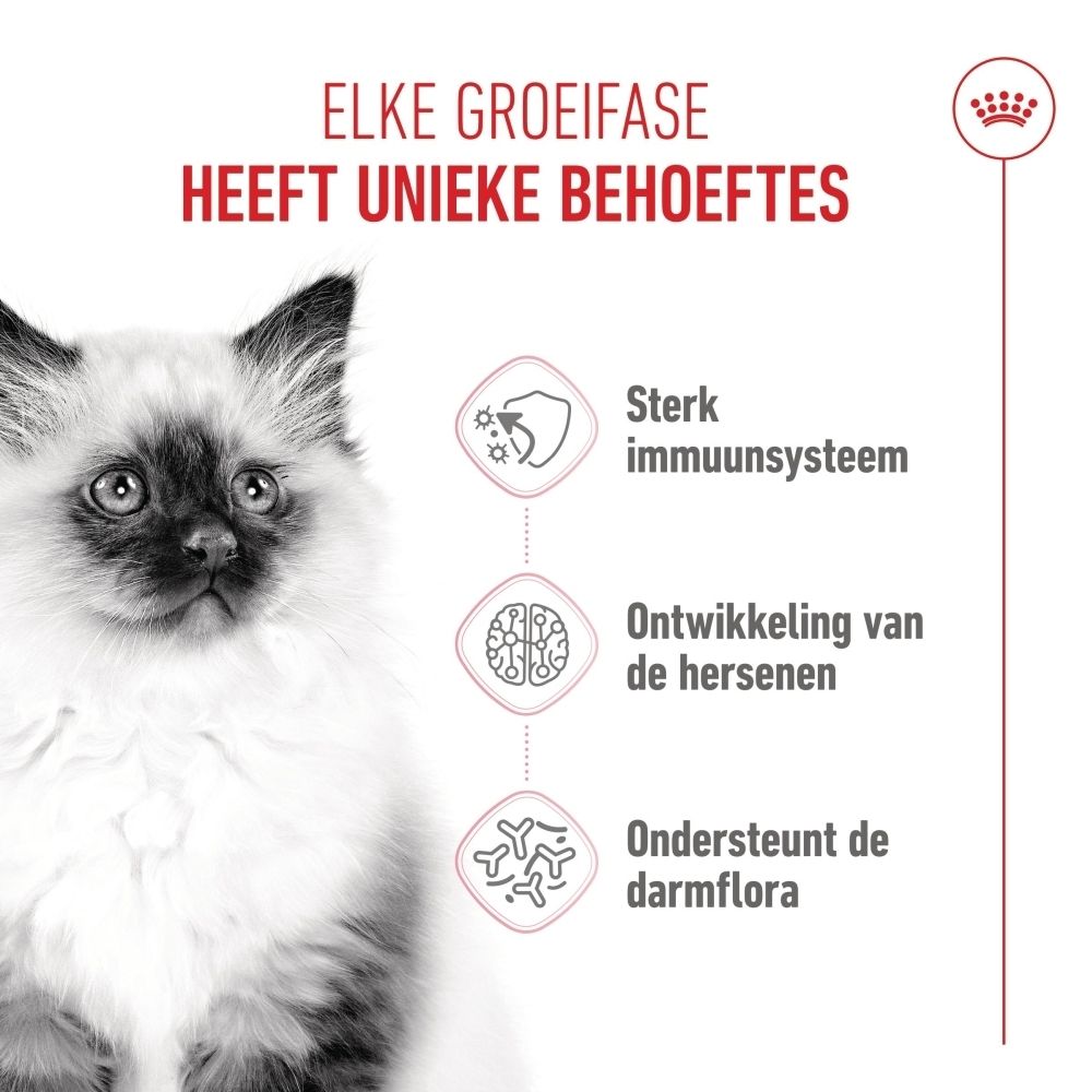 Royal Canin Kitten voerzak, 10kg. Roze en witte verpakking met een kittenafbeelding.