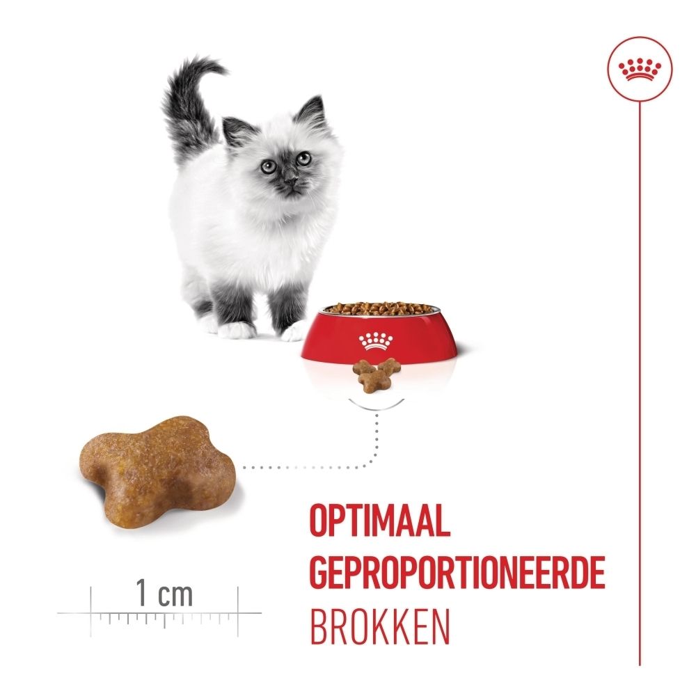 Royal Canin Kitten voer. Brokje met iconen voor Vitamine C, E, Omega-3 DHA en prebiotica.