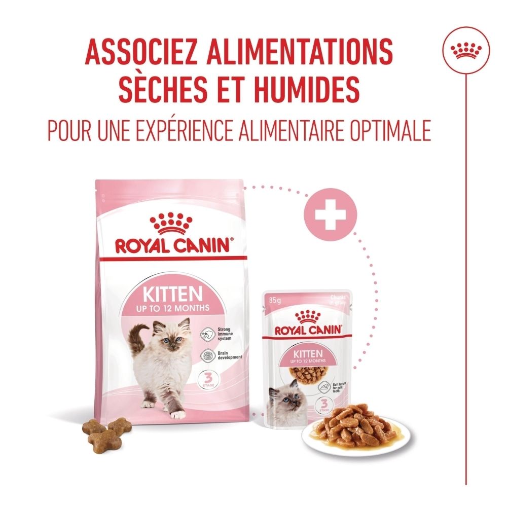 Nourriture Royal Canin Kitten. Chaton à côté d'un bol de nourriture et d'une croquette, indication de taille 1 cm.