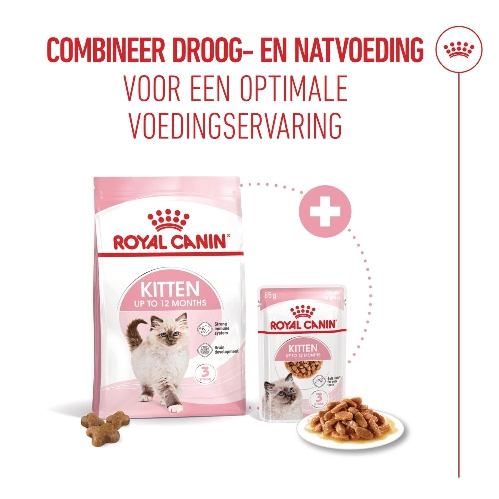 Royal Canin Kitten voer. Kitten naast een voerbak en een brokje, maatindicatie 1 cm.