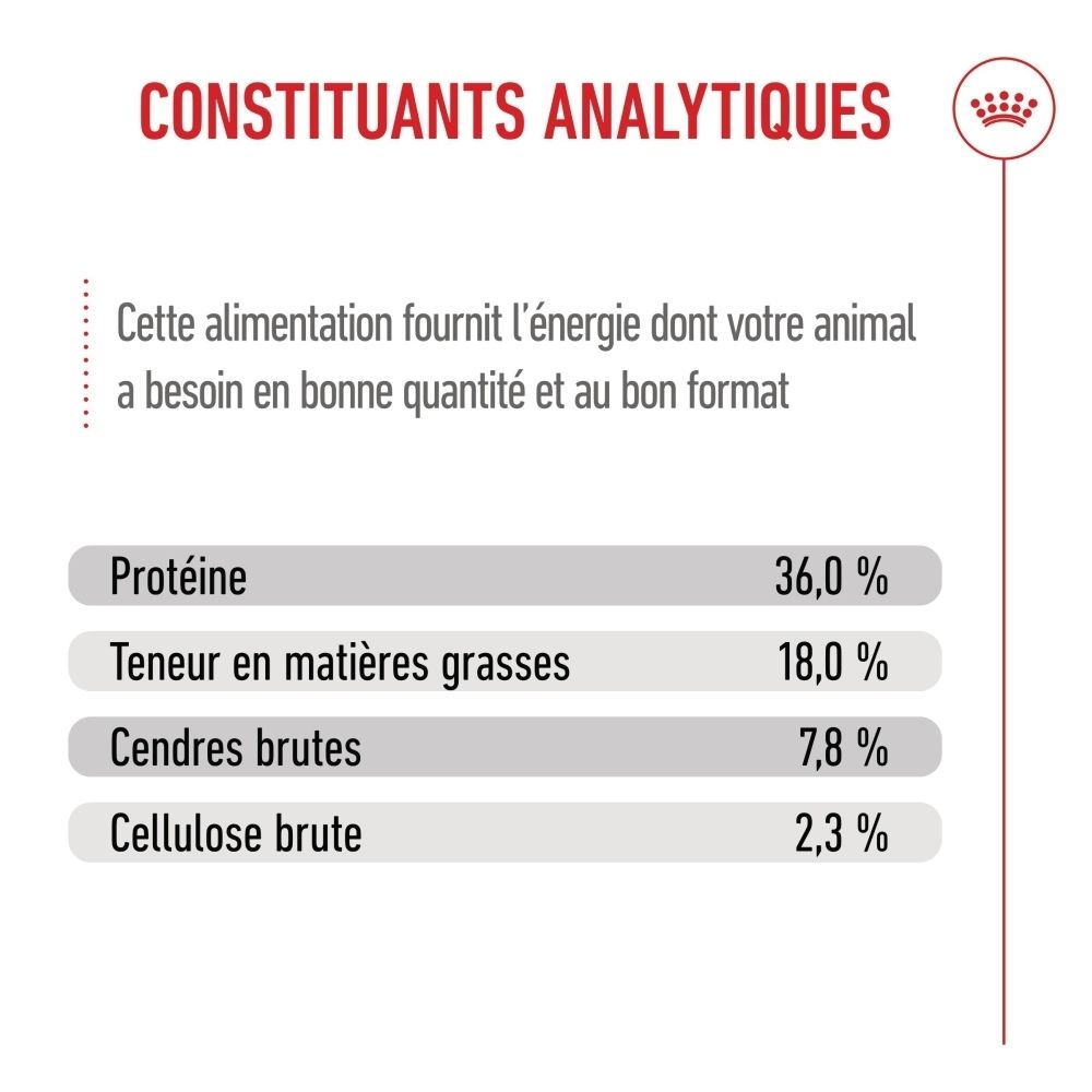 Nourriture Royal Canin Kitten. Diagramme d'adaptation de l'alimentation à l'âge du chaton, de la naissance à 12 mois.