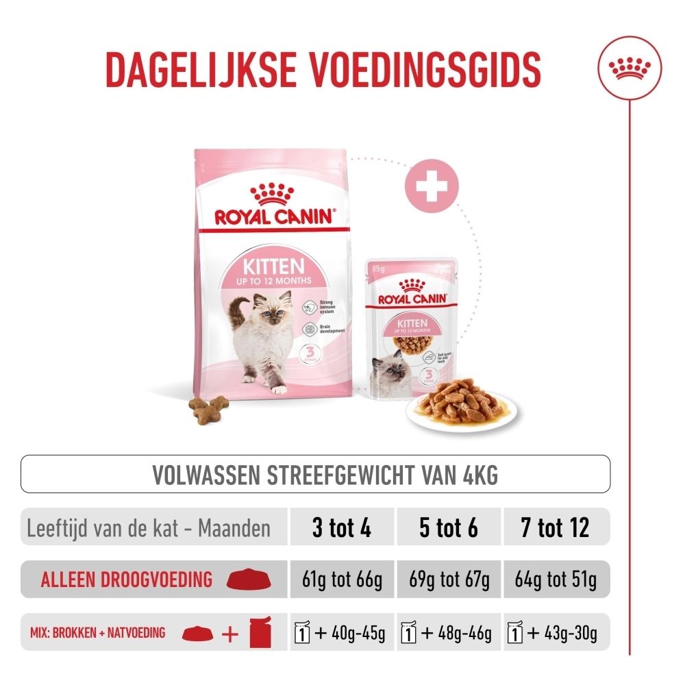 Royal Canin Kitten voer. Close-up van een kitten met iconen voor immuunsysteem en hersenontwikkeling.